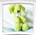 Brian Bunny